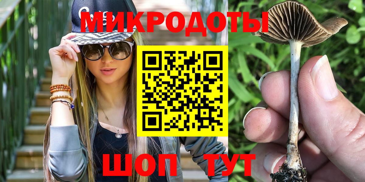 Карачаевск  Псилоцибиновые грибы мицелий  Вход с VPN  Галлюциногенные грибы MAGIC MUSHROOMS 